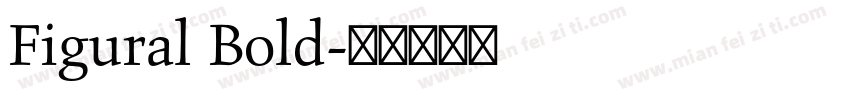 Figural Bold字体转换
